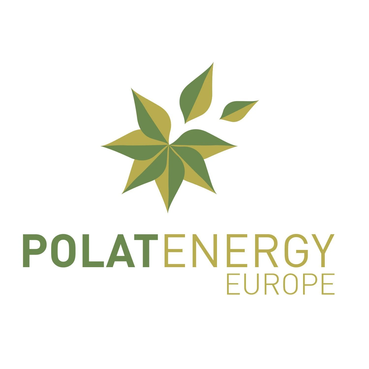 POLAT ENERJİ MANİSA’DAN GELECEĞE YEŞİL IŞIK YAKTI